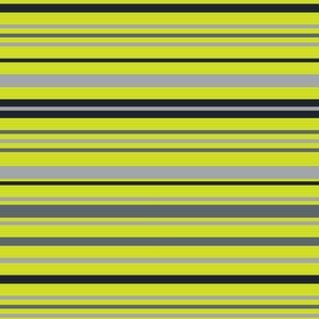 Gym Green Stripe - Version 2