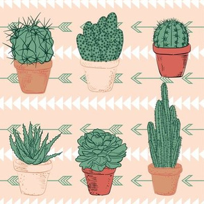  Hand Drawn Cactus - Terracotta