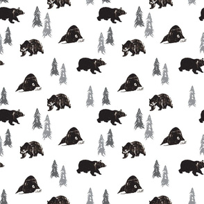 bears-01