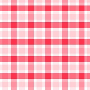 Red Check Country Plaid Cowgirl Cowboy