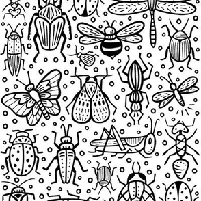 bugs black and white