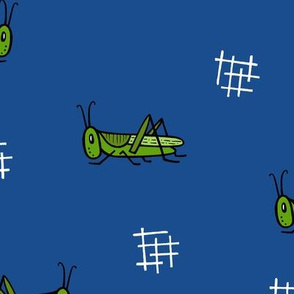 Grasshoppers - midnight 