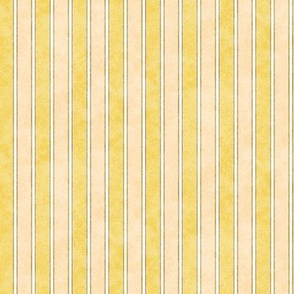 Stripes Faded Gold 225L