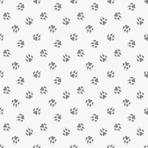 Tiny dog paw prints coordinate - gray