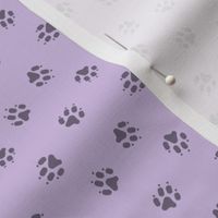 Tiny dog paw prints coordinate - purple