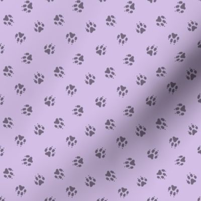 Tiny dog paw prints coordinate - purple