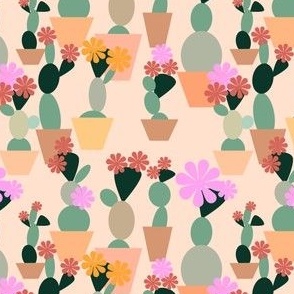 Cacti_Garden