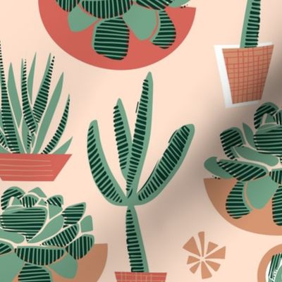 Succulents in Pots Limited Palette Small