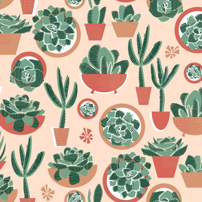 Succulents in Pots Limited Palette Small