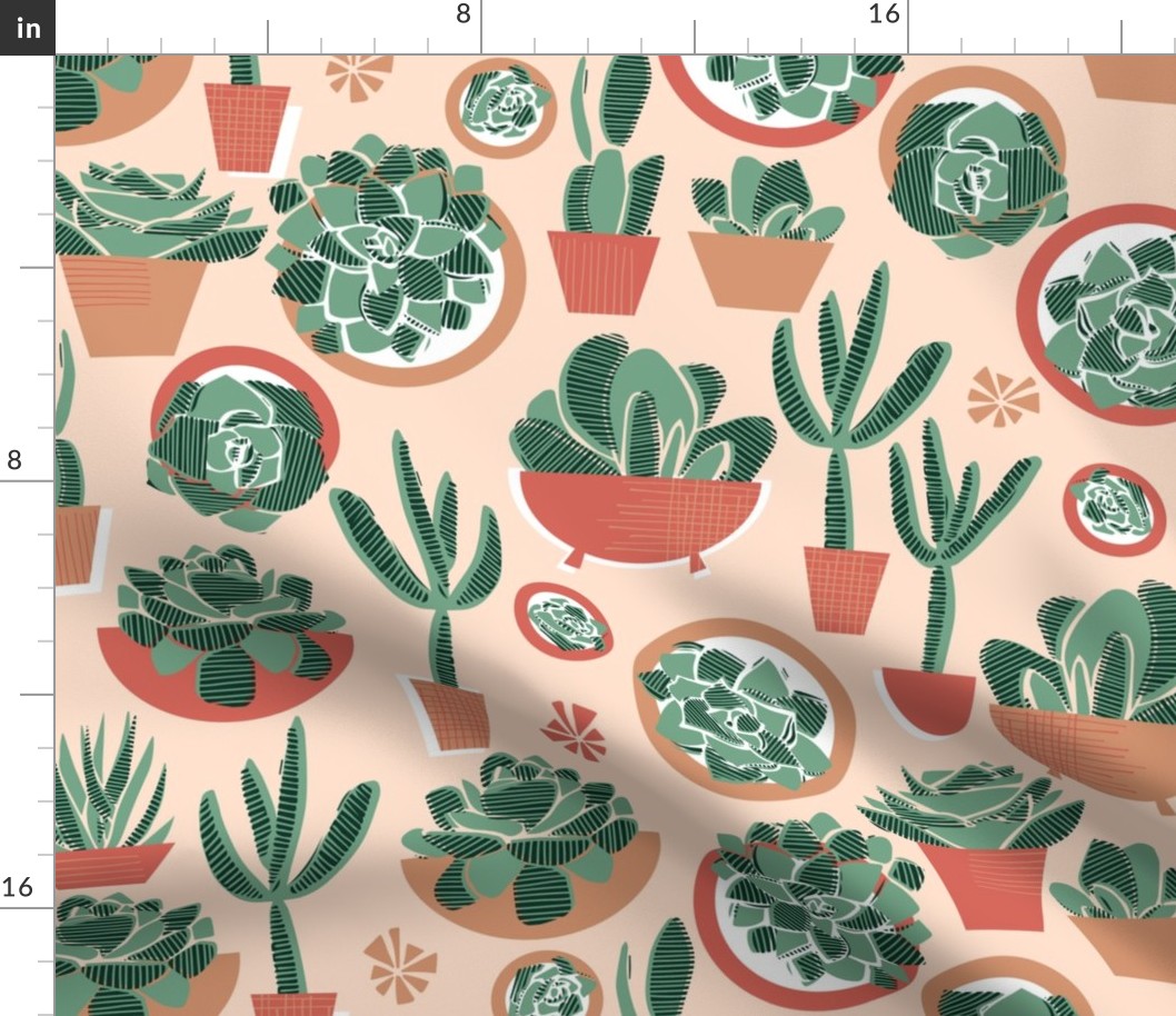 Succulents in Pots Limited Palette Small