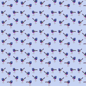 Royal Blue Wrens Periwinkle Violet