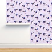 Royal Blue Wrens, Lilac