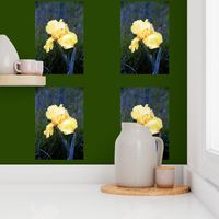 YELLOW_IRIS_ON_GREEN PILLOW