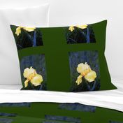 YELLOW_IRIS_ON_GREEN PILLOW