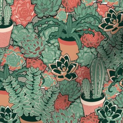 Succulents&cacti