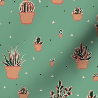 Succulent Cacti in Flowerpots with Triangles and Dots