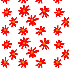 Bold Daisies