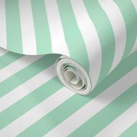 mint stripes fabric