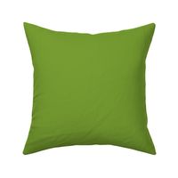 moderate chartreuse green solid