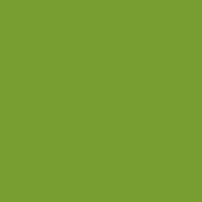 moderate chartreuse green solid