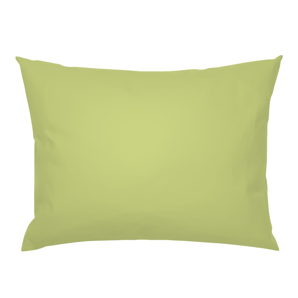 Grayish apple green solid