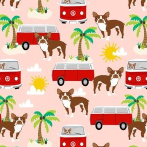 boston terrier summer design - blush