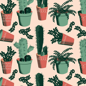 Succulent Succulents ~ Limited Color Palette 