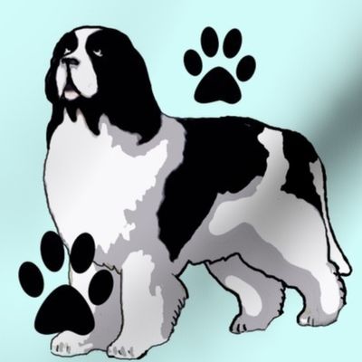 Landseer Newfoundland dog with paw prints