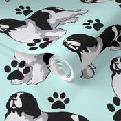 Landseer Newfoundland dog with paw prints