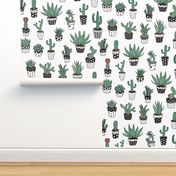 Succulents in Spotty pots, black and white - large scale