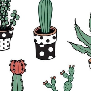 Succulents in Spotty pots, black and white - large scale