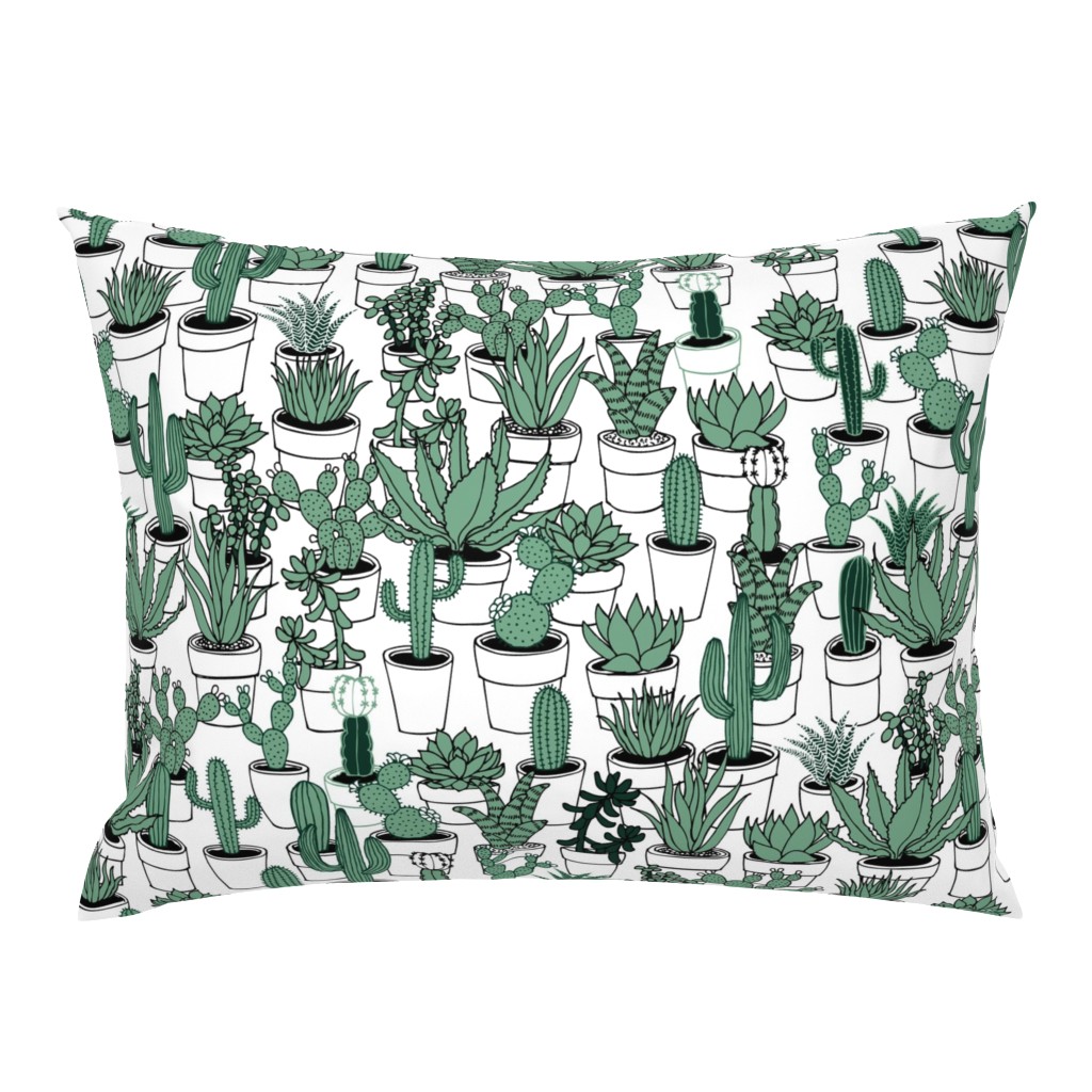 Succulents - green and white