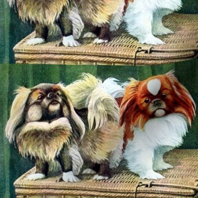 dogs puppy puppies Pekingese vintage retro kitsch whimsical pedigree