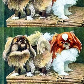 dogs puppy puppies Pekingese vintage retro kitsch whimsical pedigree
