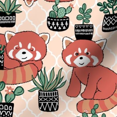 Red Panda & Potted Succulent Party