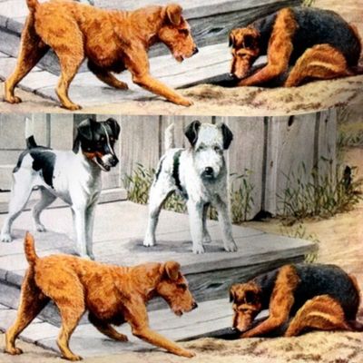 Scottish Terrier Scottie jack russell terrier JRT dogs digging vintage retro kitsch