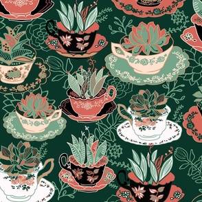 Tea Cups & Succulents