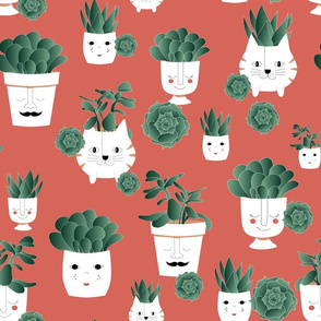 potted succulents limited color palette