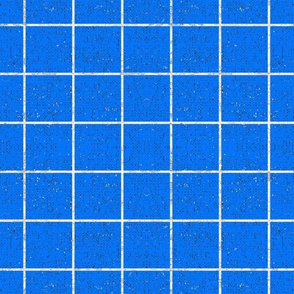 FRENCH_LINEN_GRID_BLUE_SOLID