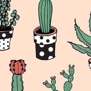 Succulents in spotty pots - on buff - Large scale
