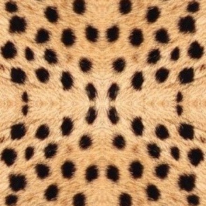 Cheetah Fur