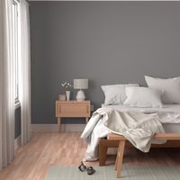 medium reddish gray solid