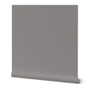 medium reddish gray solid