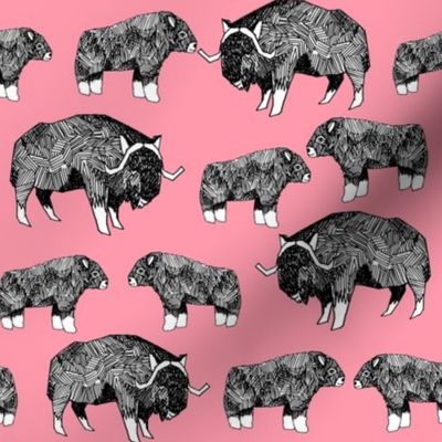 musk ox fabric // arctic animal fabric canada alaska greenland -  medium pink