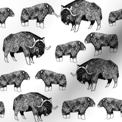 musk ox fabric // arctic animal fabric canada alaska greenland - white