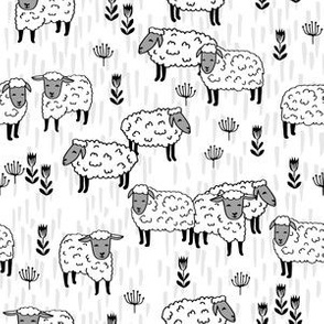 sheep fabric // field of sheep wool animals farms animals - white