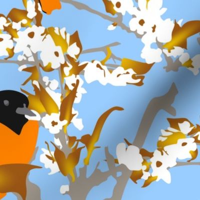 Orioles in the orchard plucking pear blossoms - large