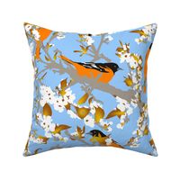 Orioles in the orchard plucking pear blossoms - large