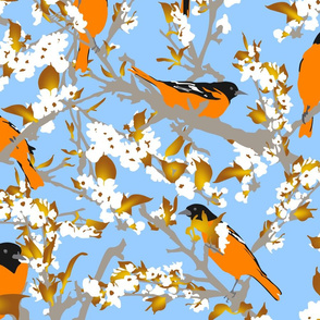 Orioles in the orchard plucking pear blossoms - large