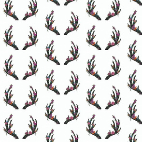 dark_coloured_antlers